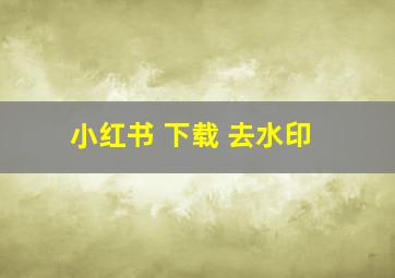 小红书 下载 去水印